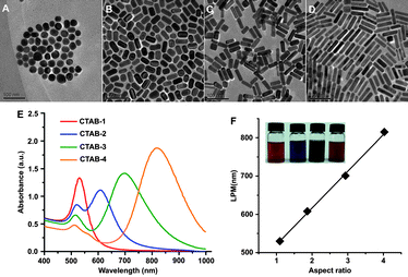 TEM images of CTAB capped AuNR of different aspect ratios (A) 1.1, (B) 1.9, (C) 2.9, (D) 4.0; (E) UV-Vis spectra of four samples; (F) linear correlation between longitudinal plasmonic resonance and aspect ratio (insets are representative samples of AuNR samples). Reproduced with permission from ref. 63.