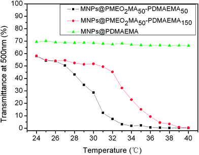 Light transmission versus temperature curves of MNPs@PDMAEMA, MNPs@PMEO2MA50-PDMAEMA50 and MNPs@PMEO2MA50-PDMAEMA150 in PBS solution (pH = 7.4, 0.5 wt%).