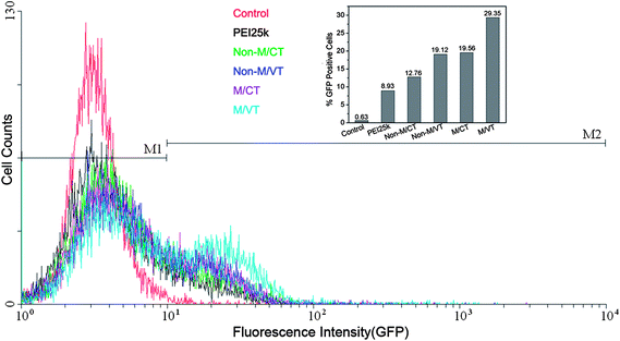 Analysis results of GFP expression mediated by MNPs@PMEO2MA50-PDMAEMA150/pDNA in HepG-2 cells using a flow cytometer. Control: naked DNA; PEI25k/pDNA(2 : 1, wt/wt); MNPs@PMEO2MA50-PDMAEMA150/pDNA(12 : 1, wt/wt) at different conditions.
