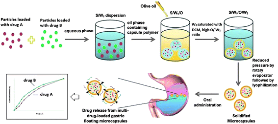 Schematic illustration of the encapsulation procedure for the preparation of floating microcapsules and the release of multiple drugs within the gastric region.