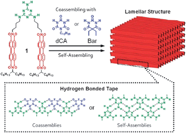 Perylene bisimide conjugated dyes functionalized with melamine segments, providing self-assembly to yield H-bonded self-organized “tapes” allowing electron-transport through stacked perylene bisimide moieties. Reproduced with permission from ref. 105.