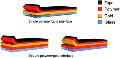 Comparison of peeling using glass–Ti–Au–polymer and glass–polymer–Au–polymer substrates. In the first case (“single polymer–gold interface”) peeling primarily occurs at the Au–polymer interface. In the second case, peeling could occur at two interfaces, as shown.