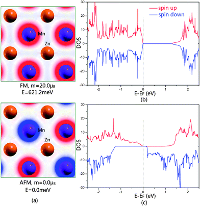 (a) The distribution of spin charge density in the [(Mn,Zn)As]− layer at FM (upper part) and AFM (lower part) states. The isosurface value is 0.08 e Å−3. Red and blue indicate the positive (spin up) and negative (spin down) values, respectively. The calculated total DOS for La(Mn0.5Zn0.5)AsO at the (b) ground AFM state and (c) FM state. The Fermi level is set to zero.