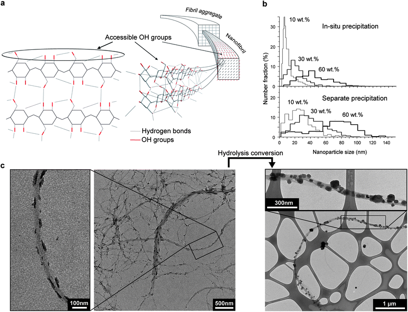 Phase interactions during in situ precipitation. (a) Cellulose nanofibril structure showing accessible surface hydroxyl groups and intra-molecular hydrogen bonds. (b) Nanoparticle size distributions from TEM image analysis for particle precipitated in the presence (“in situ”), and in the absence (“separate”) of cellulose nanofibrils. The wt% corresponds to the loading of the inorganic phase along the cellulose nanofibrils. (c) TEM images of the 30 wt% CoFe2O4 system, showing the precursor oxo-hydroxide rods on cellulose fibrils (representing ca. 1 wt% of the hybrid material, left side micrographs) from aliquot after heating the metal ion – cellulose suspension (Fig. 1b) prior to conversion into magnetic nanoparticles (right).