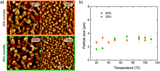 AFM topography and primary particle size. (a) Representative AFM height images for films fabricated at a relative humidity of 25% at substrate temperatures of 30 °C and 90 °C, and at a relative humidity of 60% at substrate temperatures of 50 °C and 110 °C. The films on the left are porous and the films on the right are dense and smooth. The scale bar is indicated. (b) The primary particle size for the full datasets presented as a function of substrate temperature. The average diameter amounts to about 3 μm and at elevated temperatures it is independent of relative humidity.