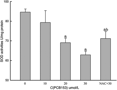 SOD activity after exposing cultured rat Sertoli cells with PCB153 for 24 h. NAC + 30: 300 μmol L−1 NAC pre-treatment for 1 h followed by incubation with 30 μmol L−1 PCB153 for 24 h. a p < 0.05 vs. control, b p < 0.05 vs. 30 μmol L−1 PCB153.