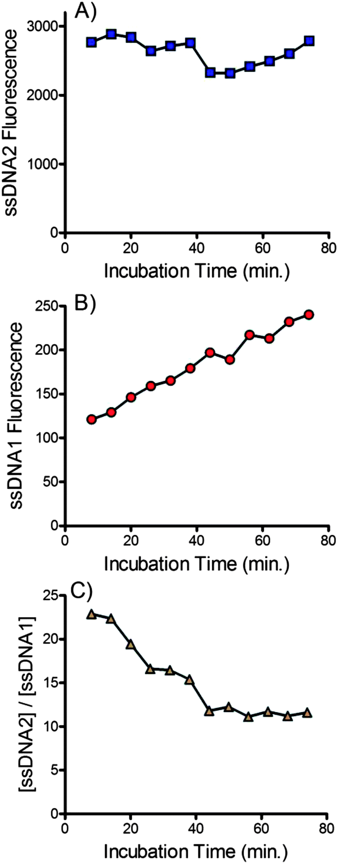 isolating,conferencing isolating single stranded dna using a microfluidic dialysis