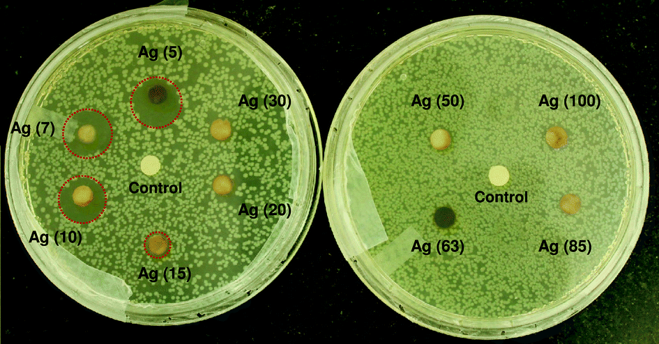 Size Controlled Silver Nanoparticles Synthesized Over The Range