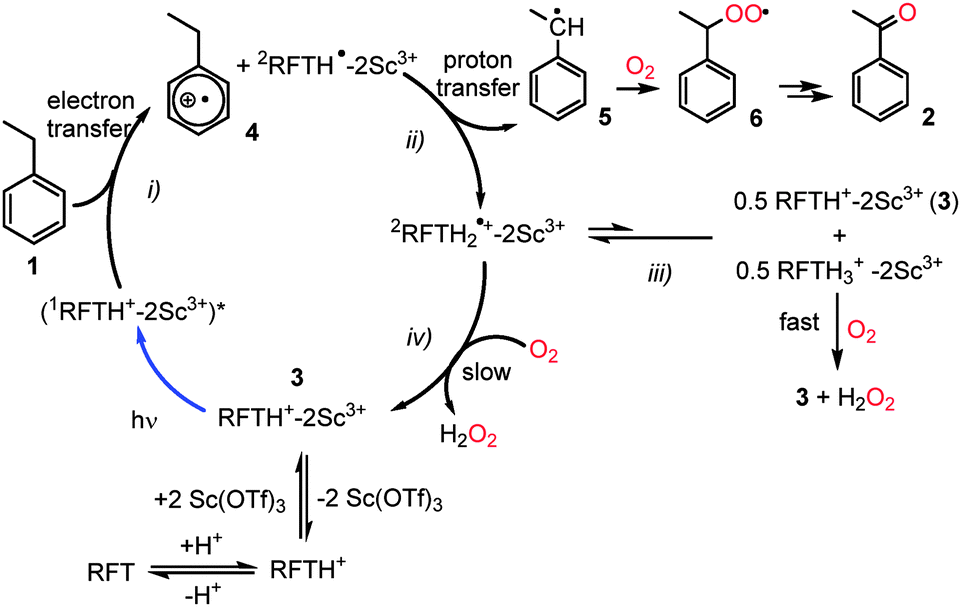 photocatalytic benzylic c–h bond oxidation with a flavin