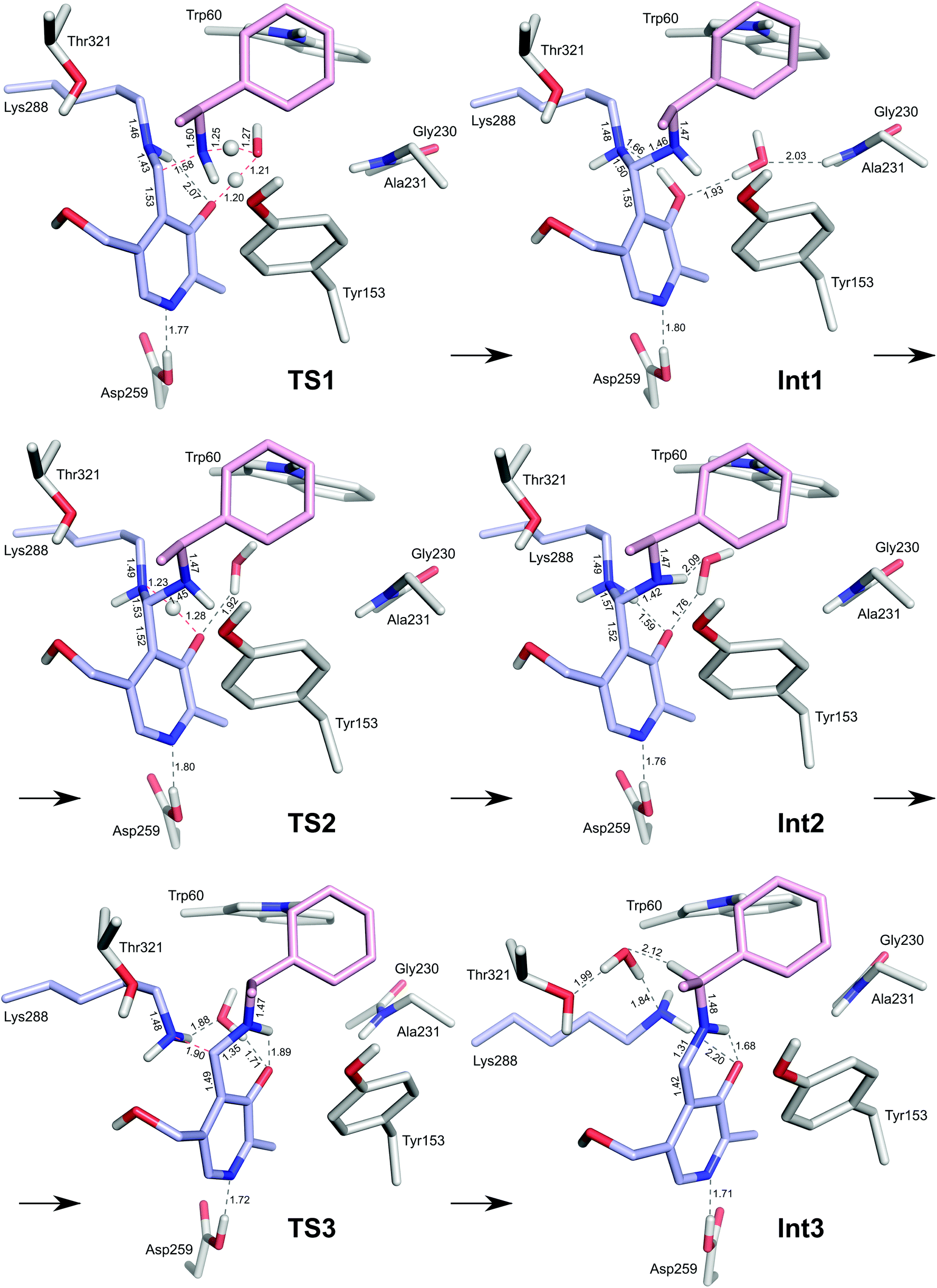 a quantum chemical study of the ω-transaminase reaction