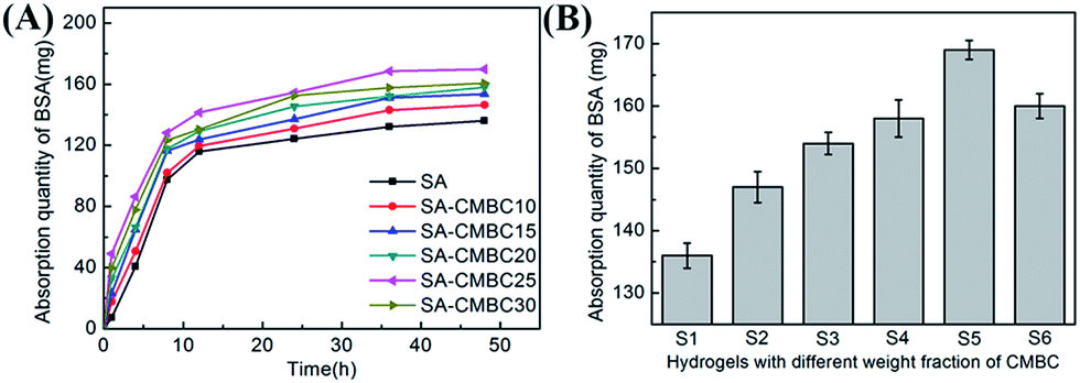 the gelation process and protein absorption property of