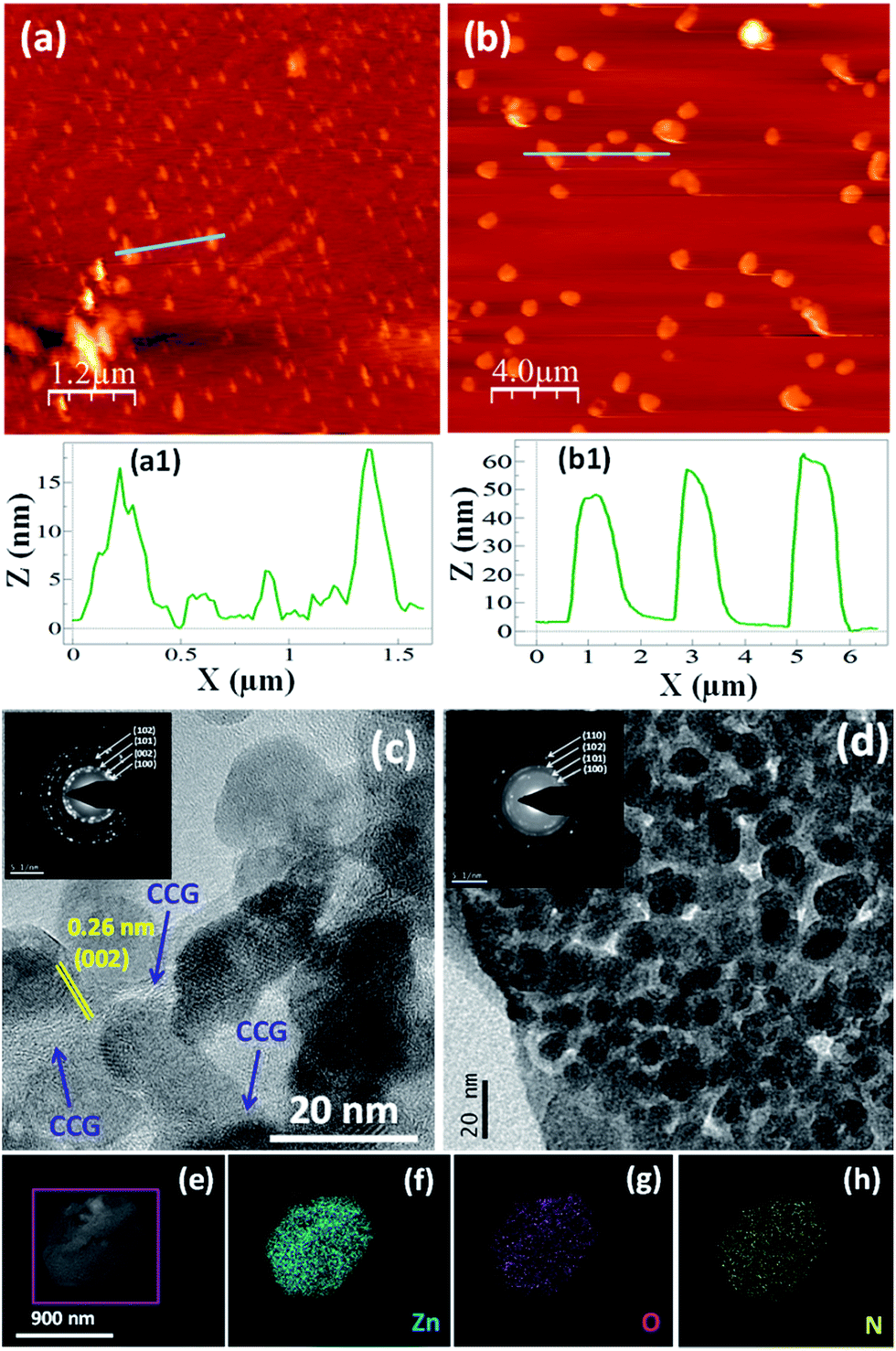 Znographenepolyaniline Nanoflowers Solution Synthesis Formation