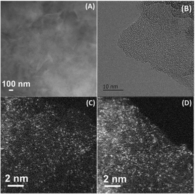 Single Atom Dispersed CoNC Catalyst Structure Identification And