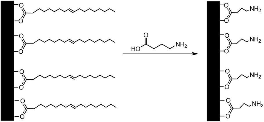 gold coated iron phosphide core–shell structures