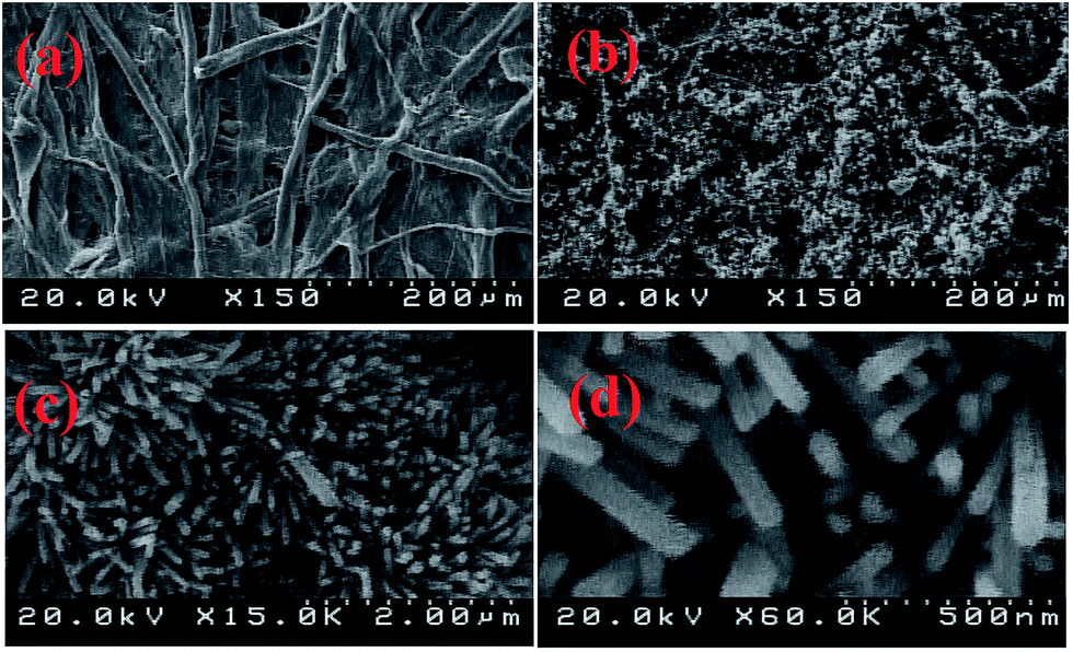 Phenyl Carbamate Functionalized Zinc Oxide Nanorods For Paper Based