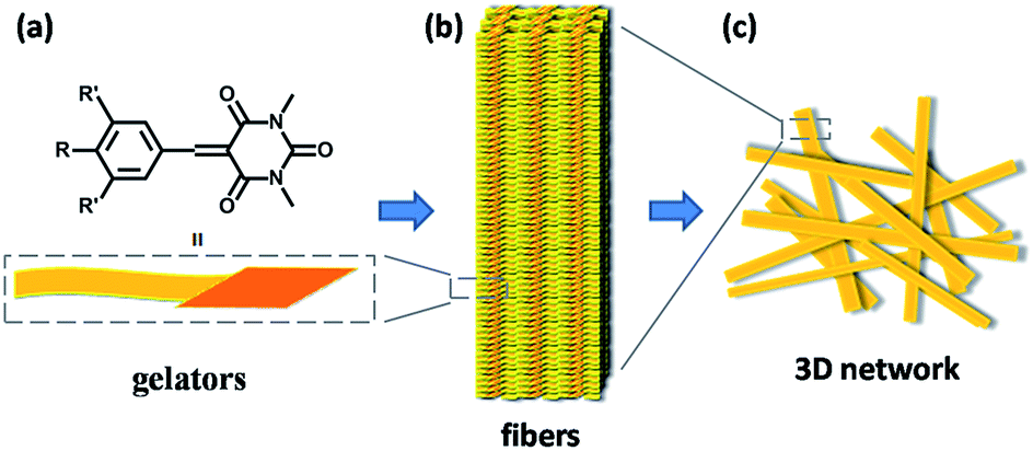 gelation-driven selection in dynamic covalent c