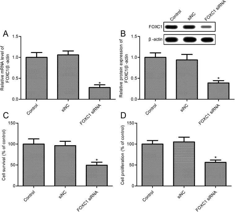 retracted article: foxc1 silencing promotes a549