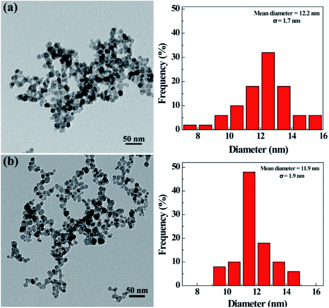 hyaluronic acid-mediated multifunctional iron oxide-based mri