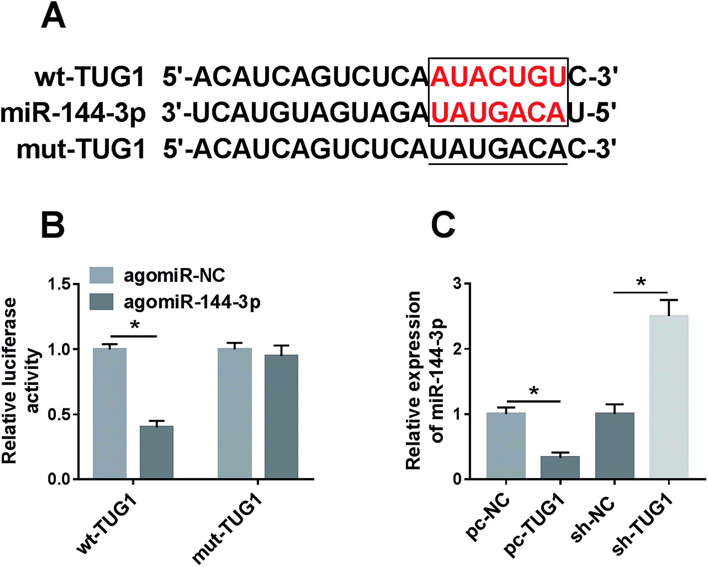 retracted article: knockdown of tug1 aggravates hypoxia-induced