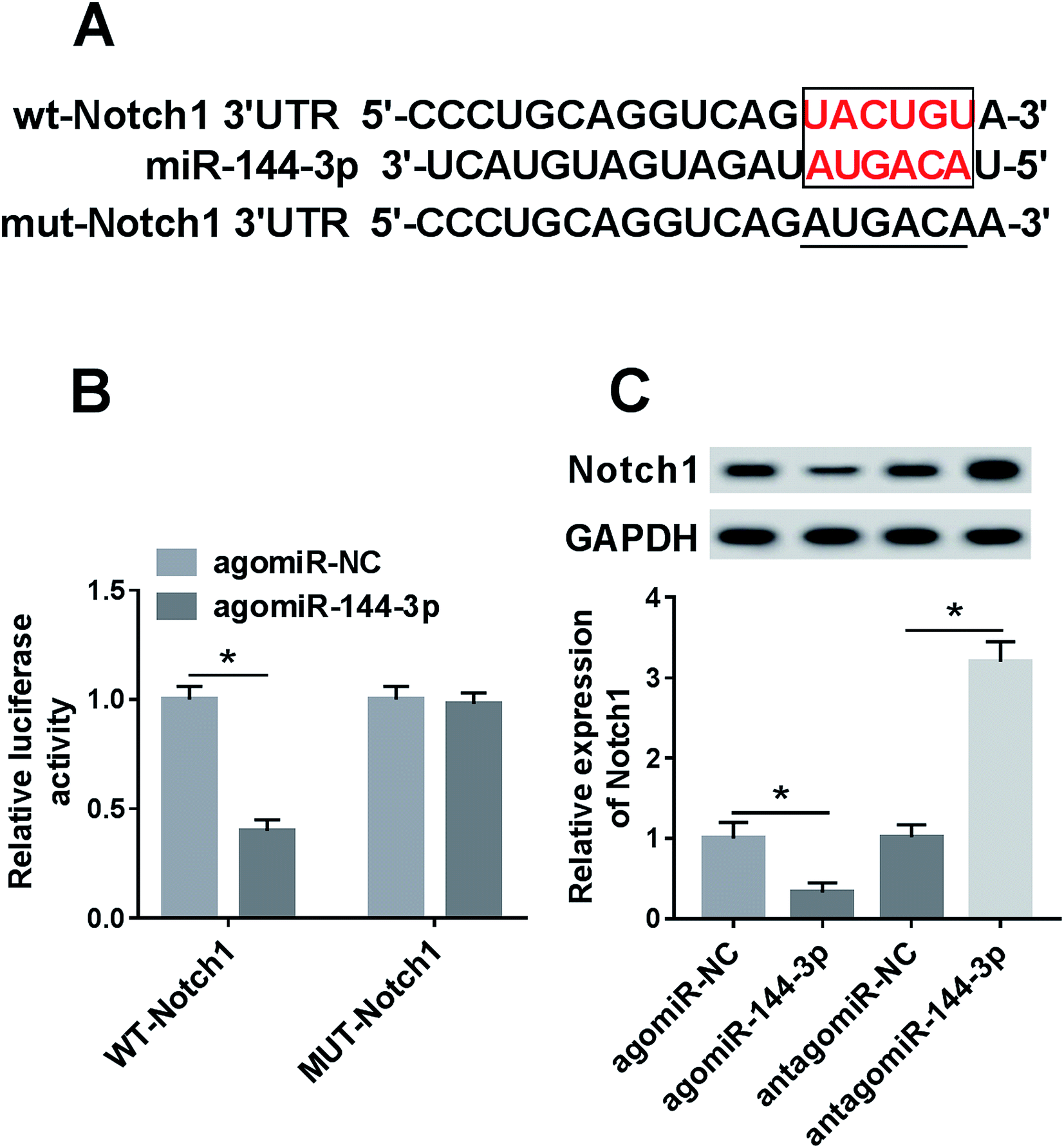 retracted article: knockdown of tug1 aggravates hypoxia-induced