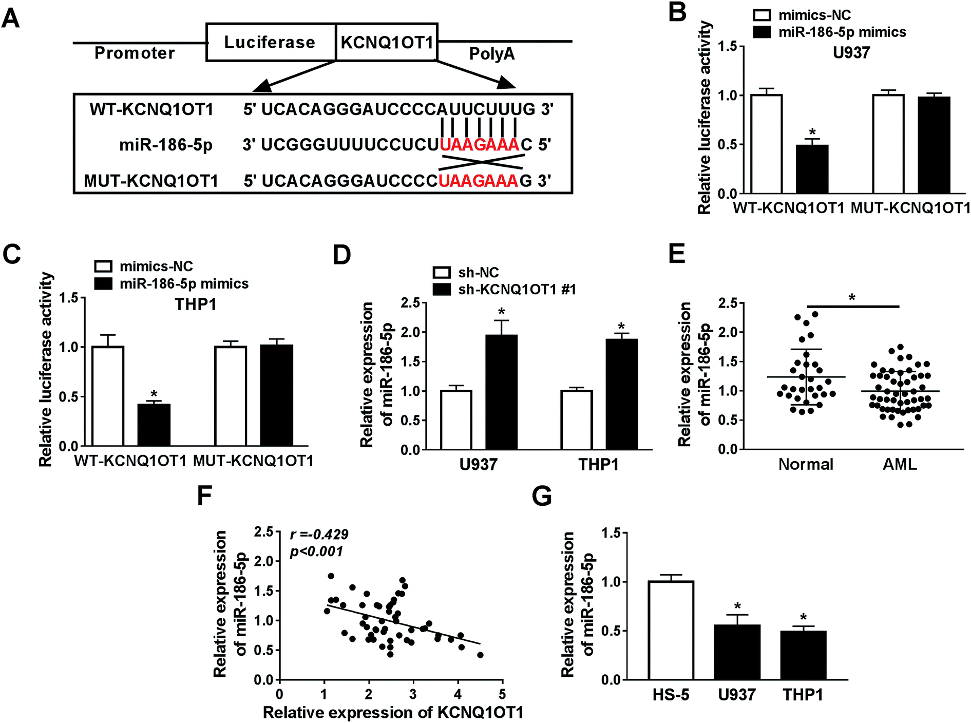 retracted article: long non-coding rna kcnq1ot1 regulates cell