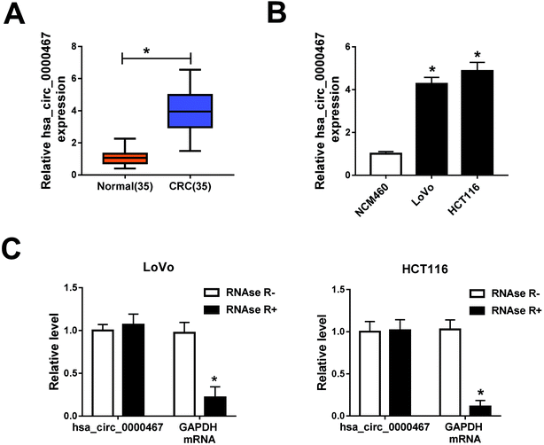 retracted article: circular rna hsa_circ_0000467