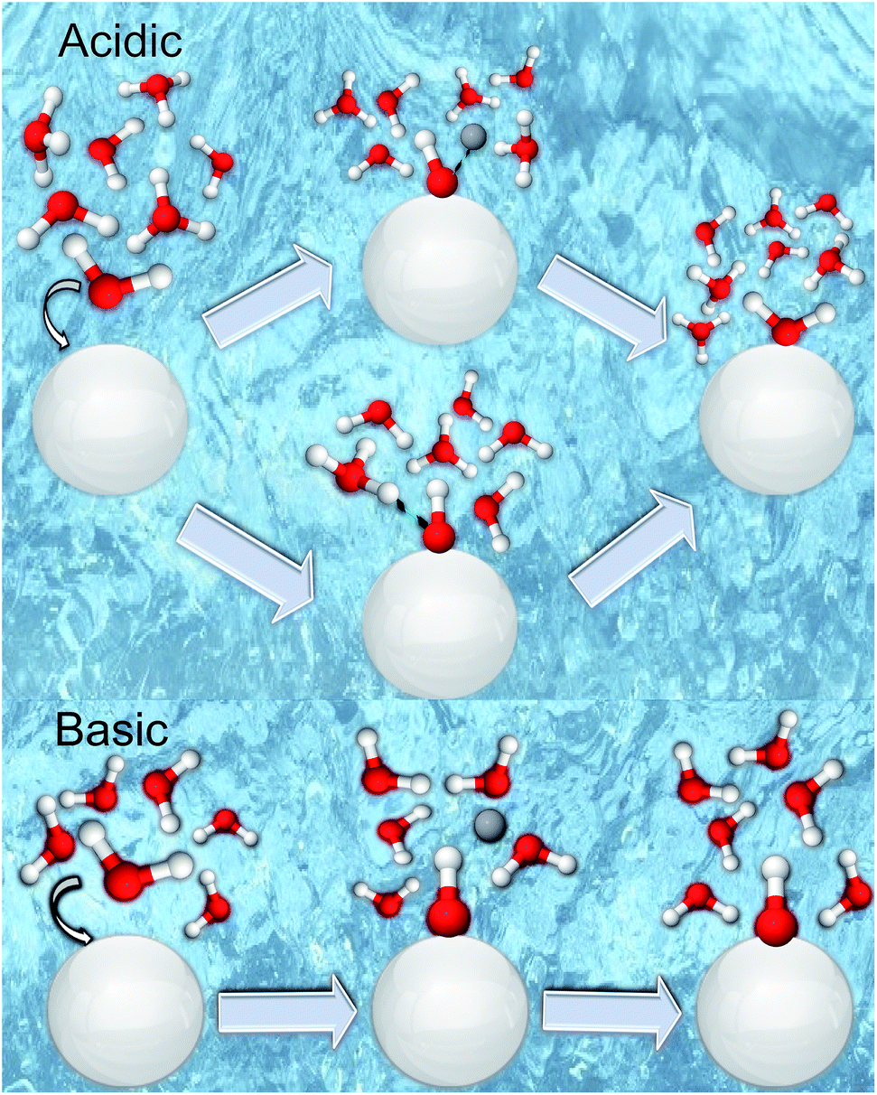 or via proton transfer from a surrounding hydronium.