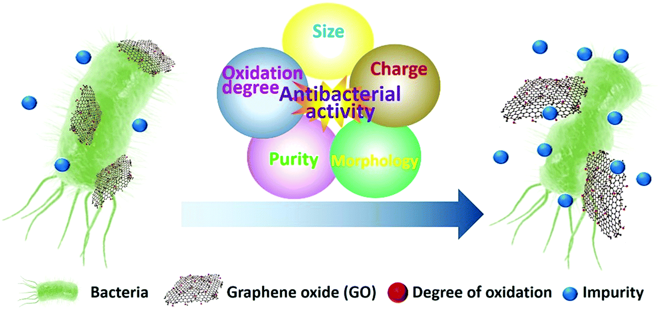 graphene oxide and carbon dots as <strong>broad<\/strong>-spectrum