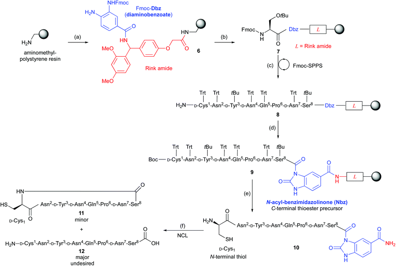 direct synthesis of cyclic lipopeptides using intram