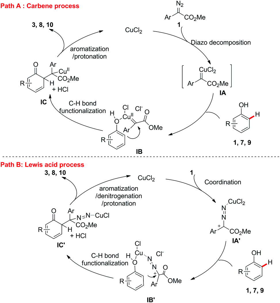 Copper Catalysed Ortho Selective CH Bond Functionalization Of Phenols