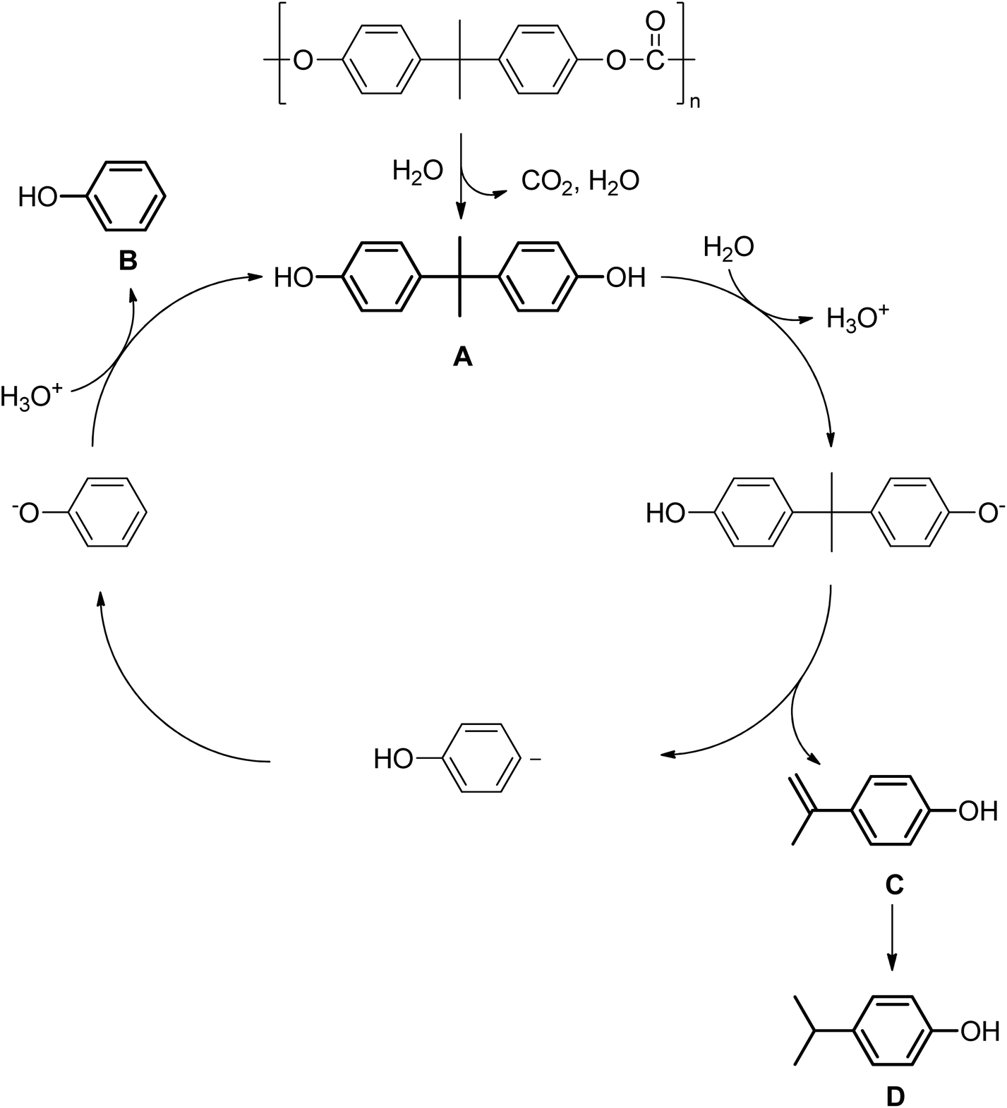 Alkaline Hydrolysis Of Polyacrylonitrile On The Reaction Mechanism