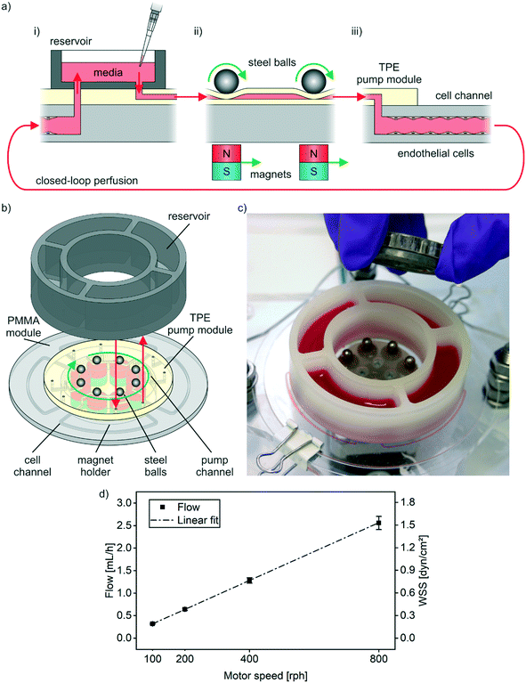 peristaltic on-chip pump for tunable media circulation and whole