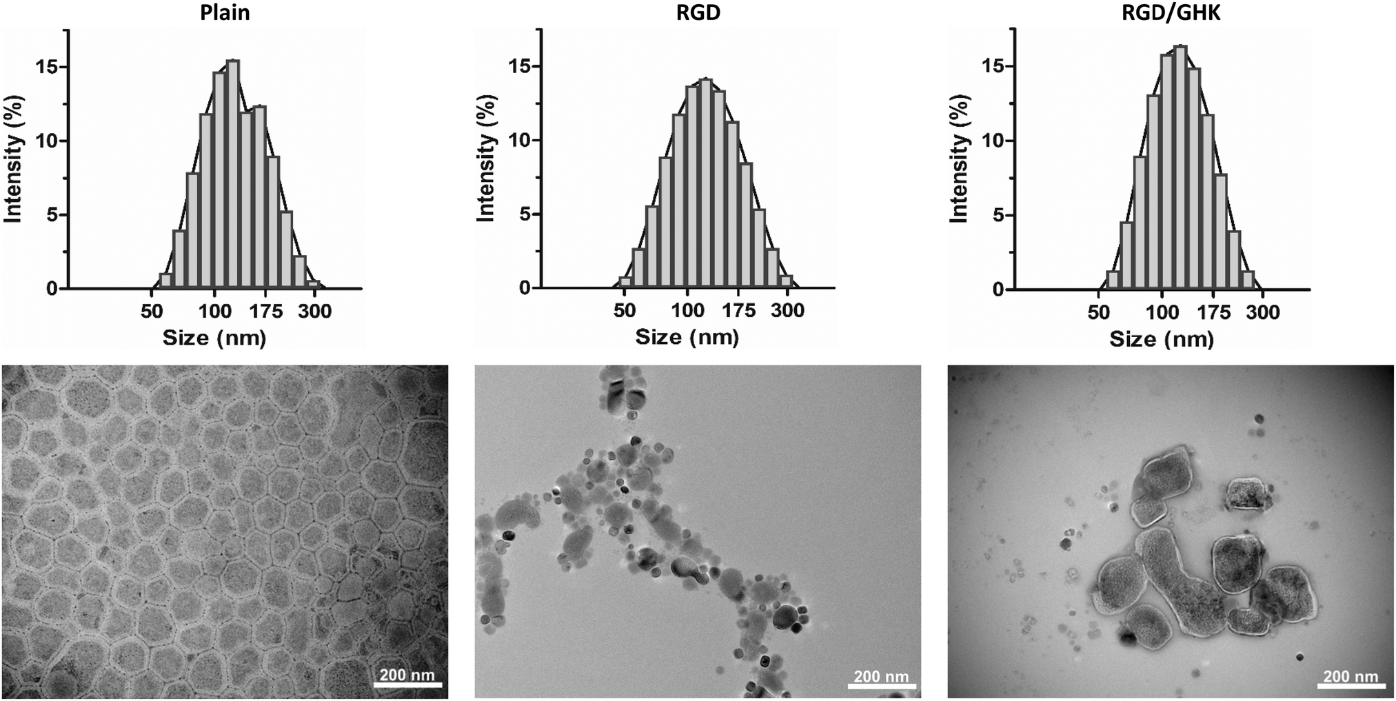 Amphiphilic RGD And GHK Peptides Synergistically Enhance Liposomal