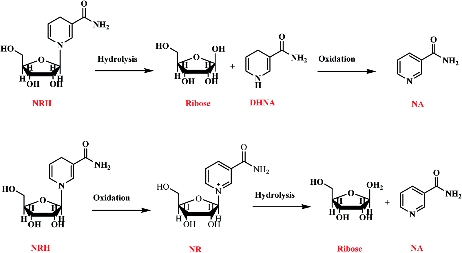 Dihydronicotinamide Riboside Synthesis From Nicotinamide Riboside