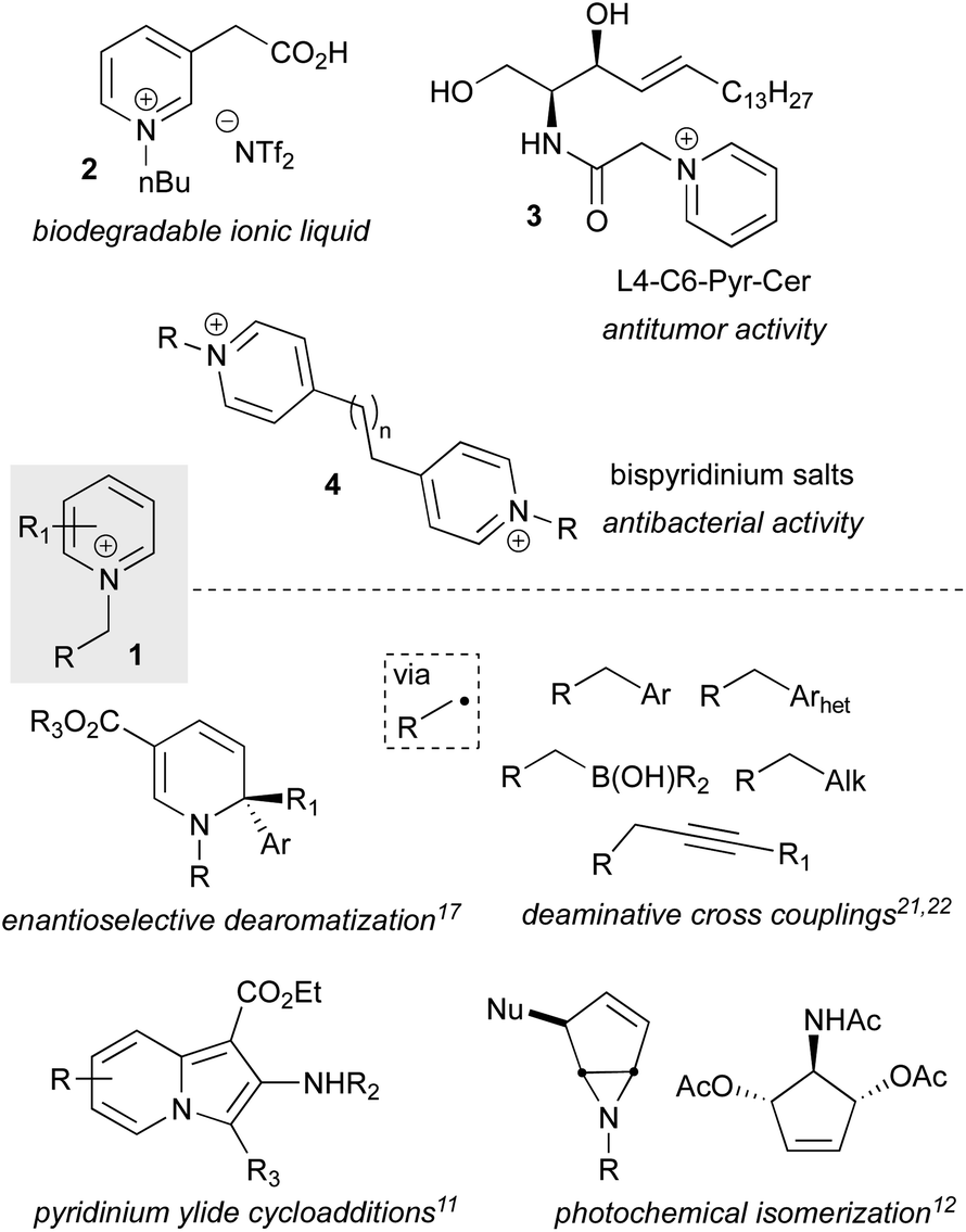 Heterocyclic Group Transfer Reactions With I Iii N Hvi Reagents