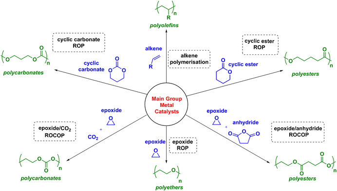 Main Group Metal Polymerisation Catalysts Chemical Society Reviews