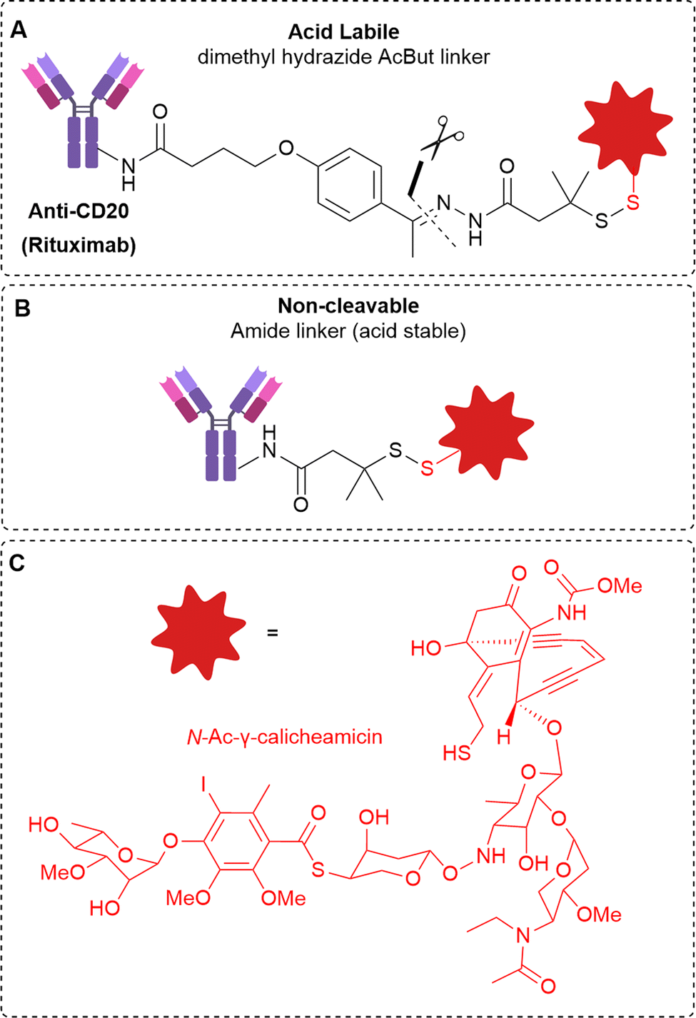 Kadcyla Mechanism Of Action