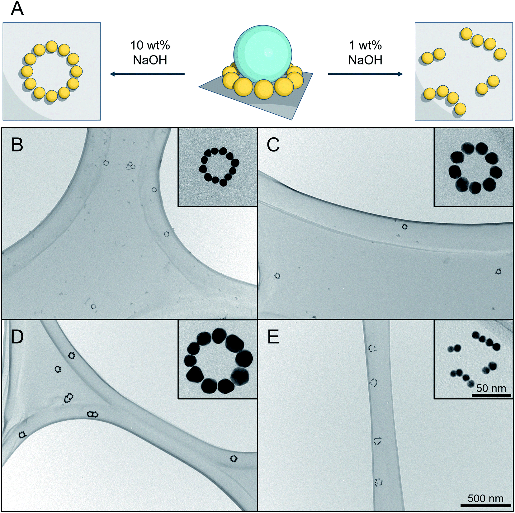 Gold Nanoparticle Ring Arrays From Coresatellite Nanostructures Made