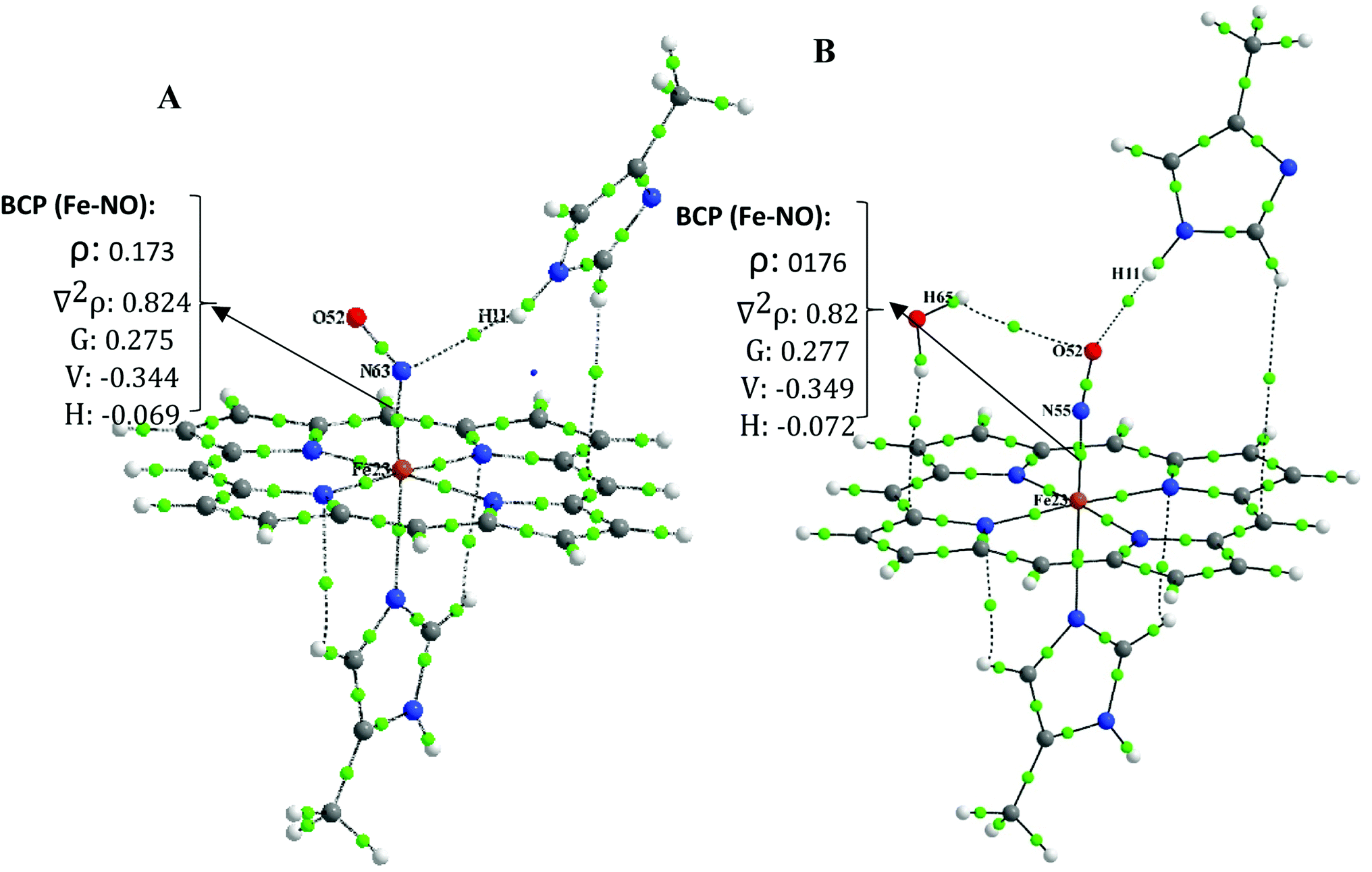 Insights Into The Effect Of Distal Histidine And Water Hydrogen Bonding