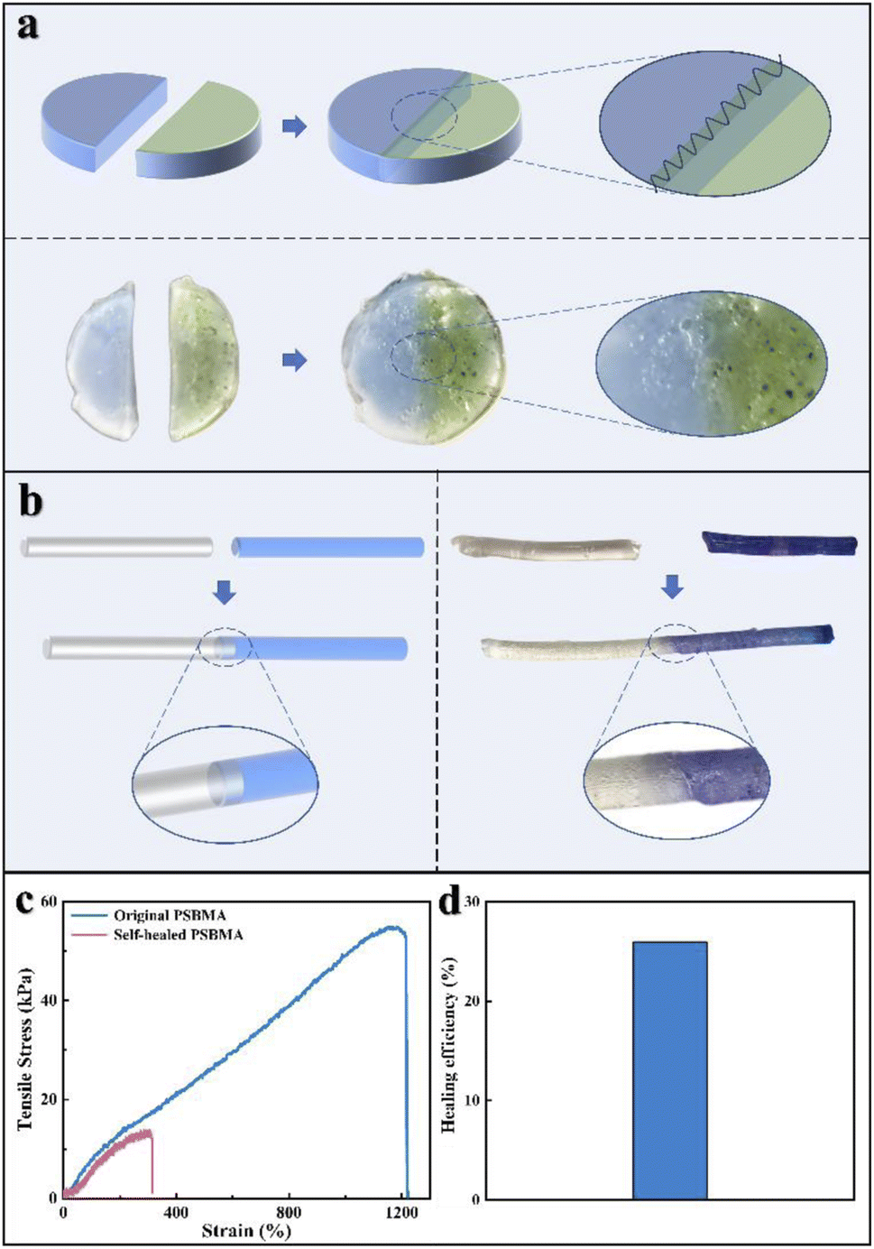 A Multi Functional Zwitterionic Hydrogel With Unique Micro Structure