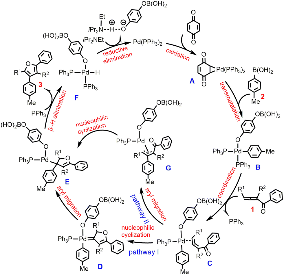 DFT Computational Insight Into Pd 0 Catalyzed Oxidative Cross Coupling