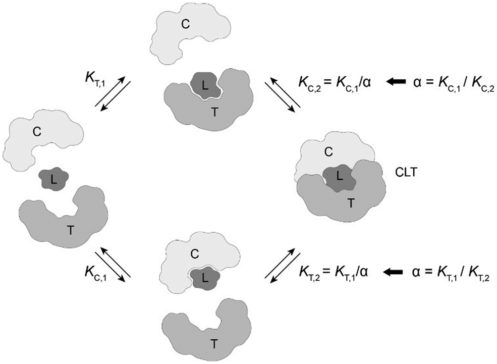 A Model Informed Method To Retrieve Intrinsic From Apparent