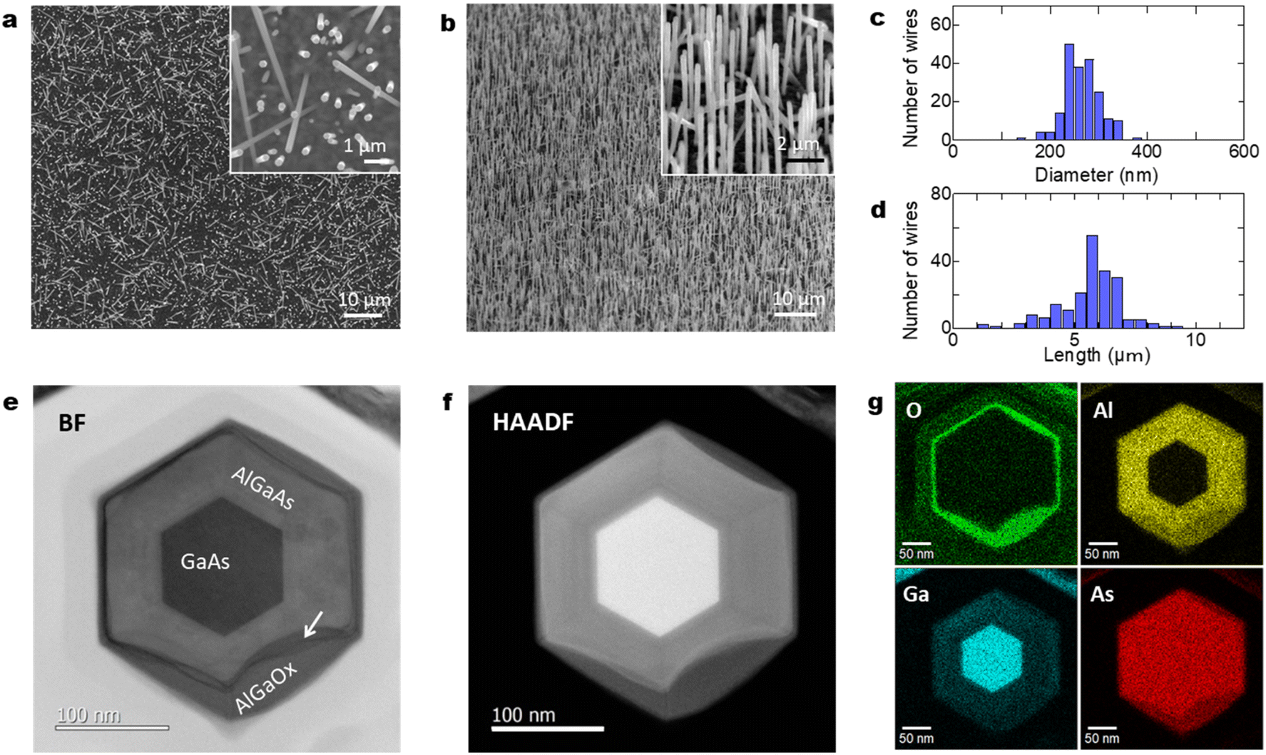 Wafer Scale Integration Of Gaas Algaas Coreshell Nanowires On Silicon