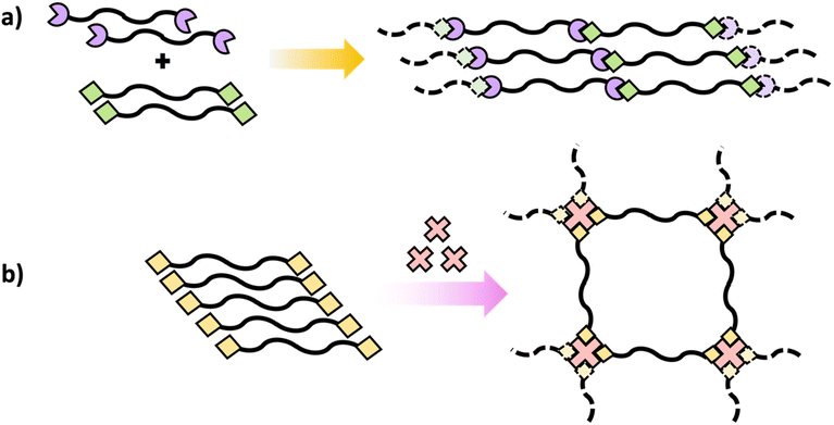 Educational Series Turning Monomers Into Crosslinked Polymer Networks