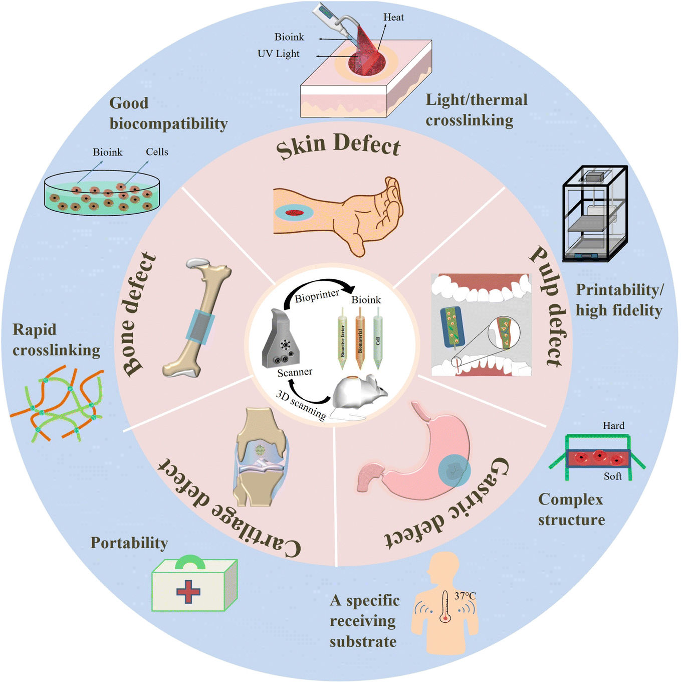 Bioinks Adapted For In Situ Bioprinting Scenarios Of Defect Sites A