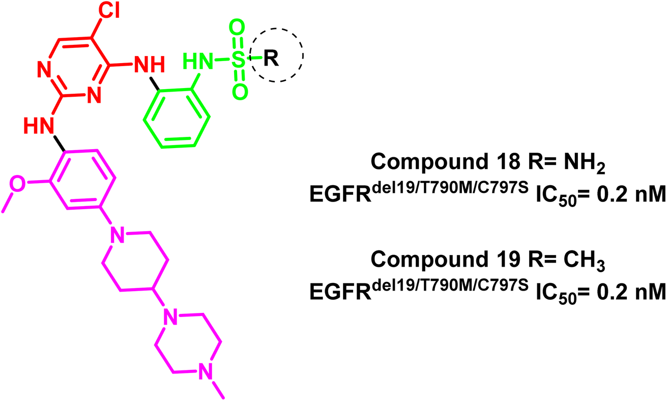 Insights Into Fourth Generation Selective Inhibitors Of C S Egfr