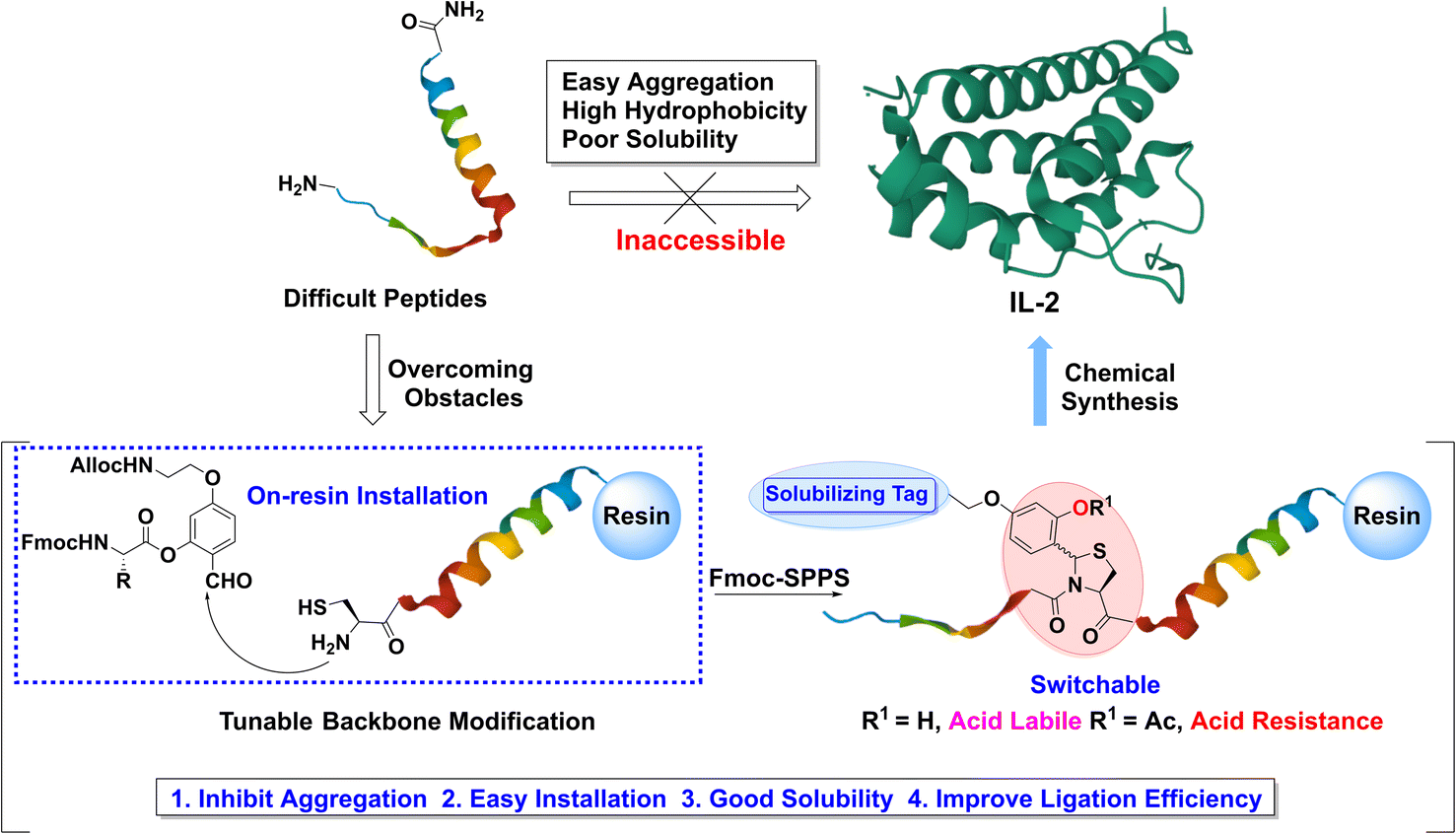 Total Synthesis Of Interleukin Via A Tunable Backbone Modification