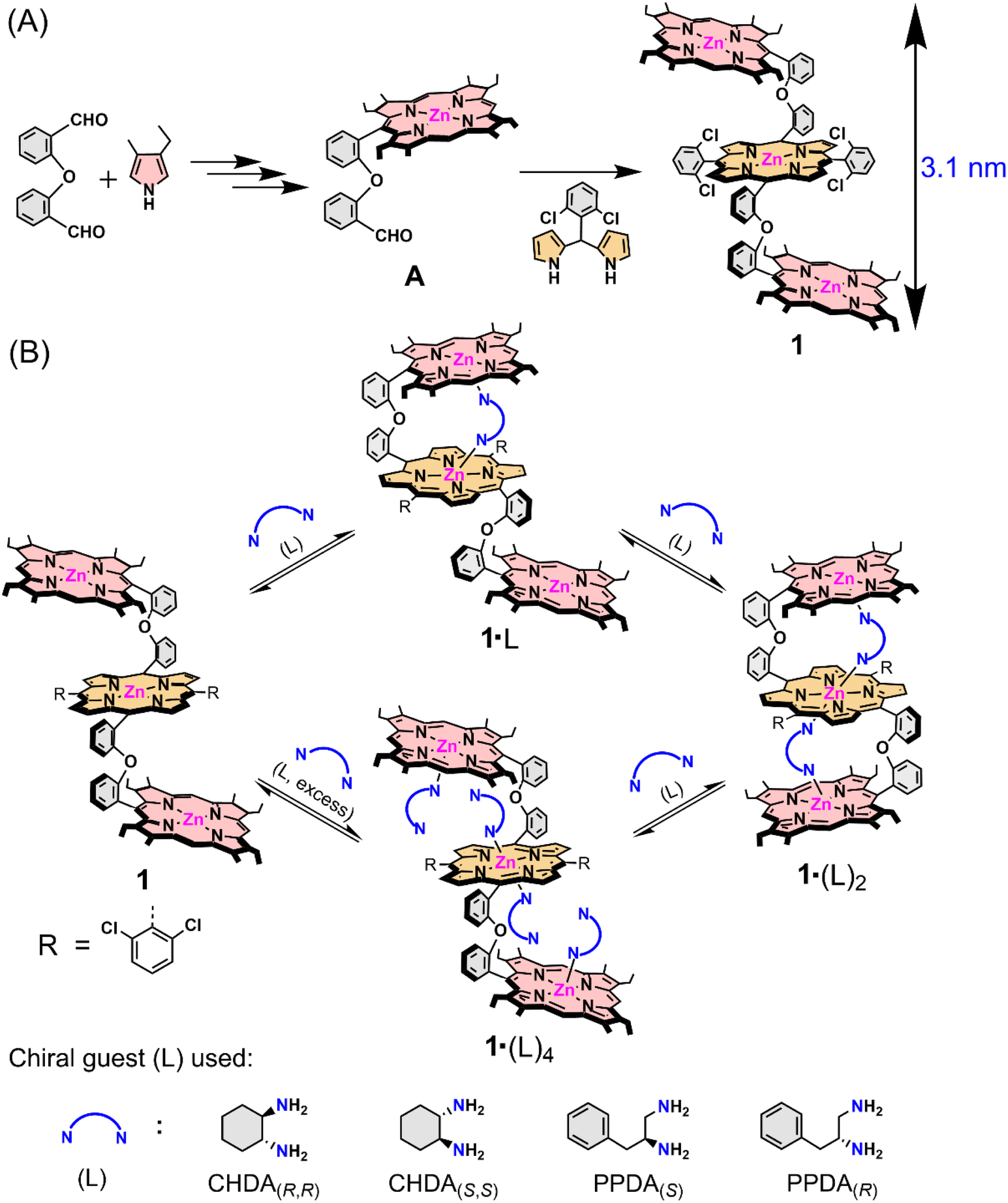 Modulation Of Supramolecular Chirality By Stepwise Axial Coordination