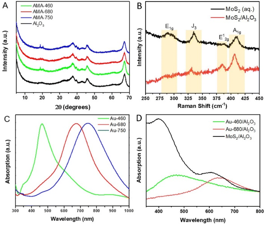 Synergizing Plasmonic Au Nanocages With 2D MoS 2 Nanosheets For