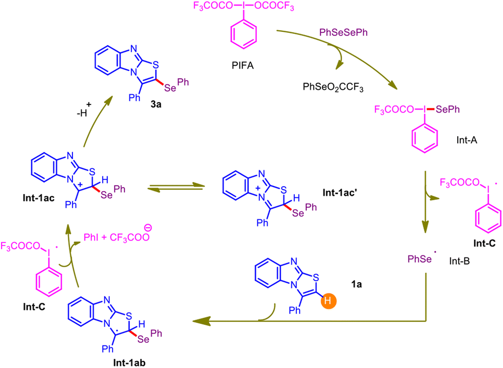 C Sp H Selenylation Of Substituted Benzo Imidazo B